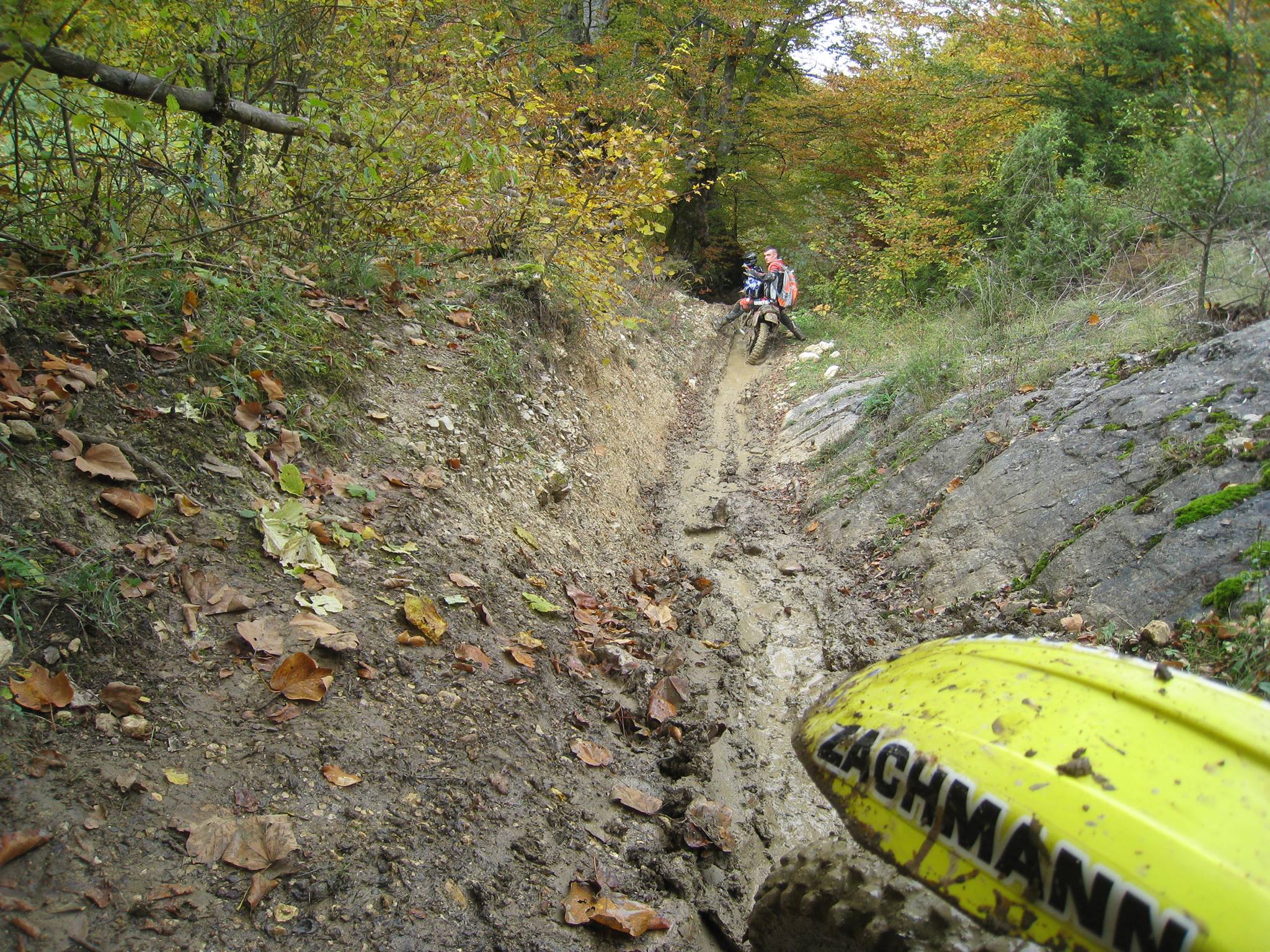 1275422 561224437260454 1700246836 o