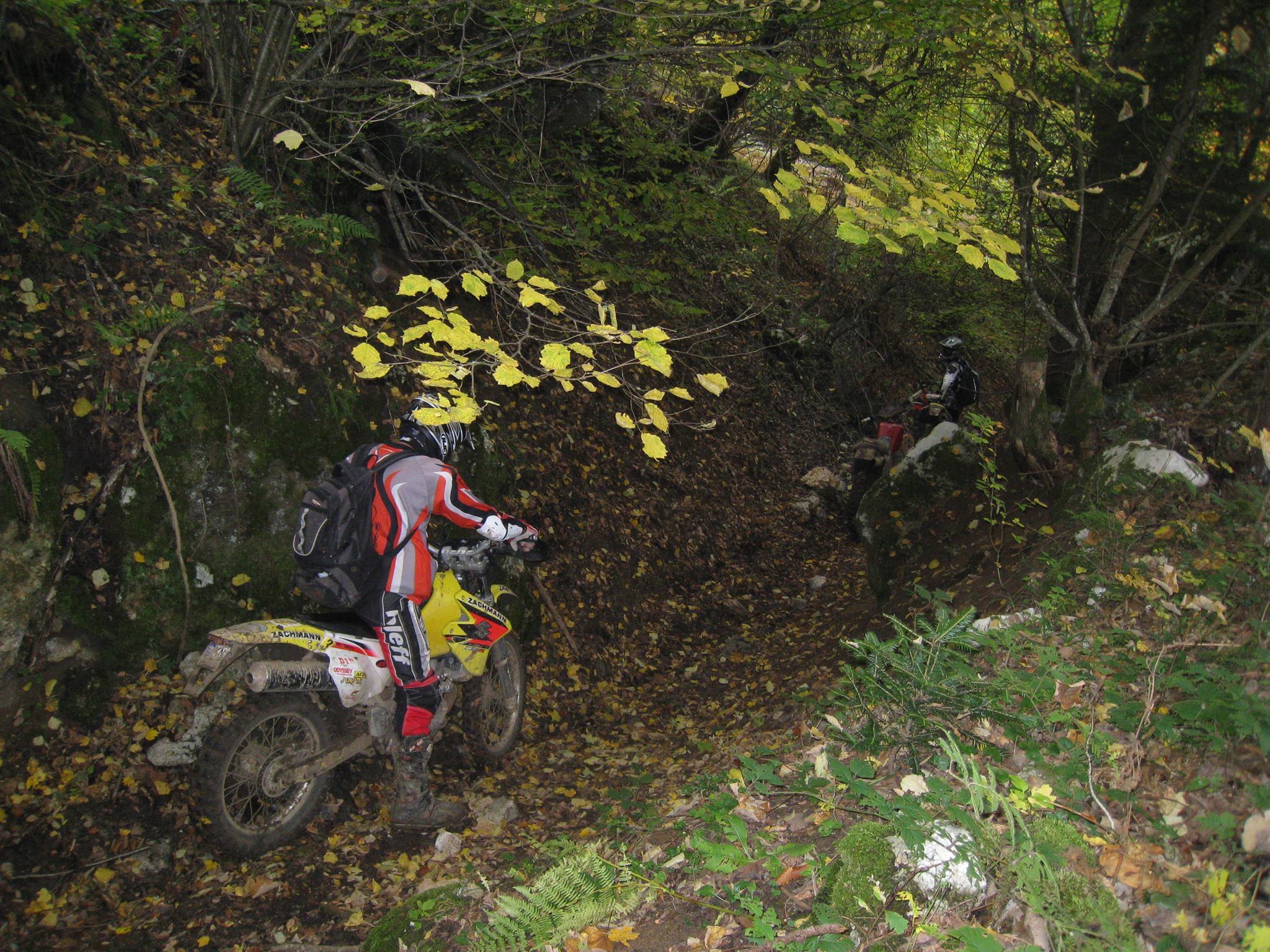 1397311 561211123928452 1091034077 o