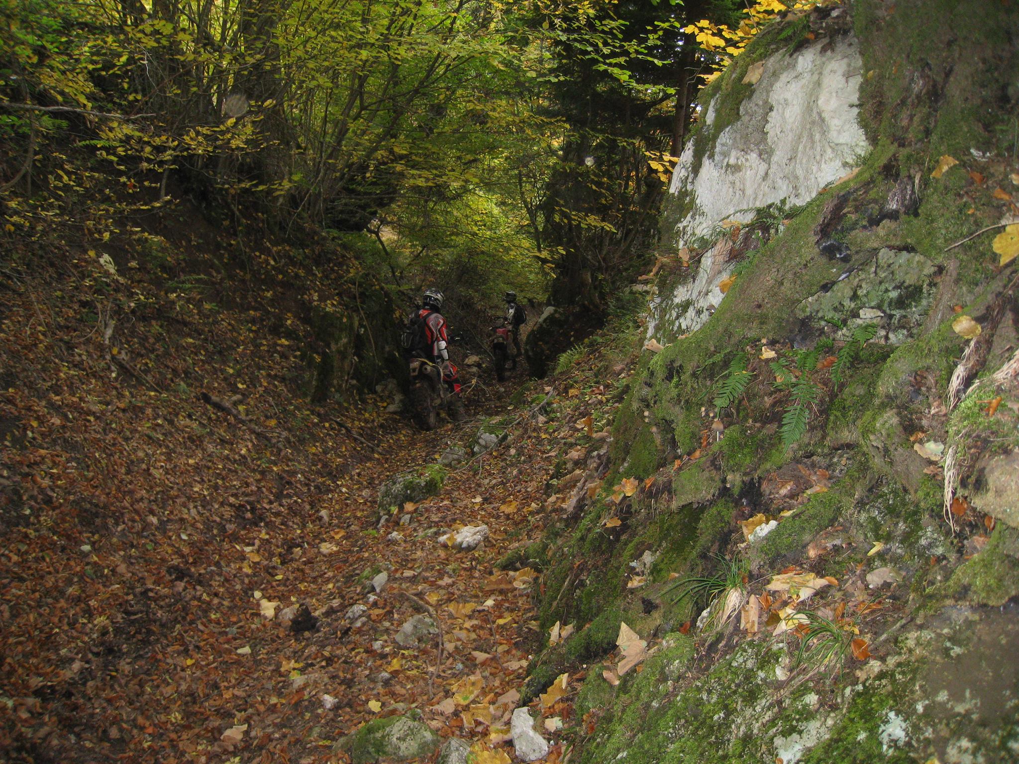 1397311 561211127261785 1600824847 o