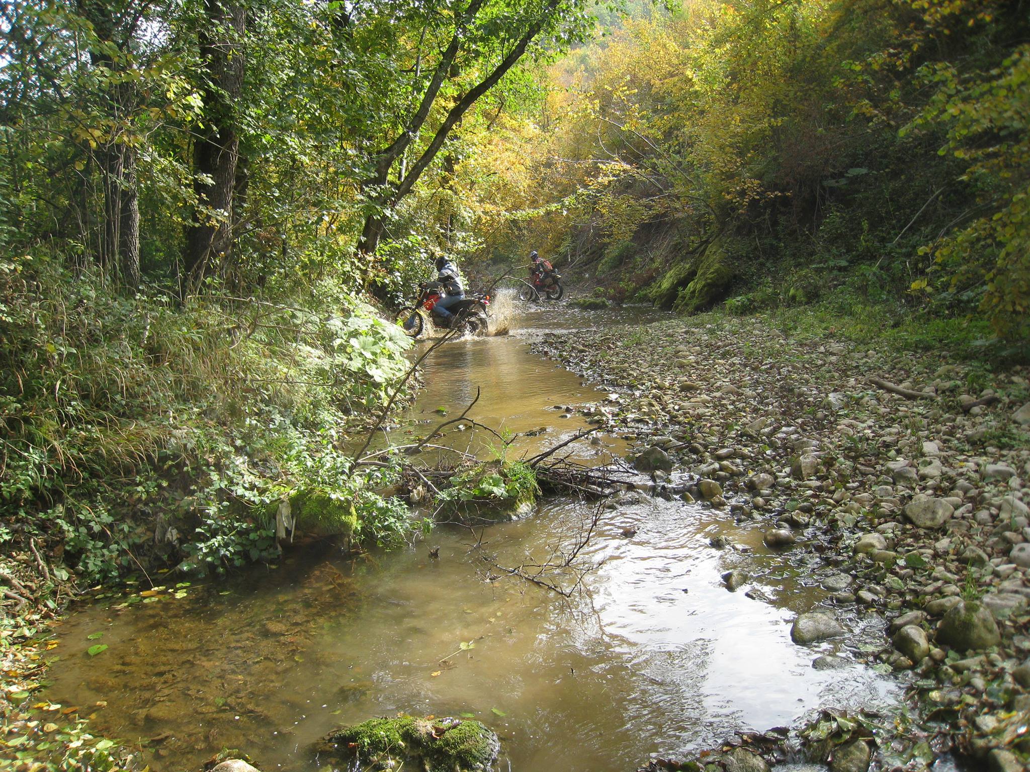 1398309 561232207259677 909166321 o