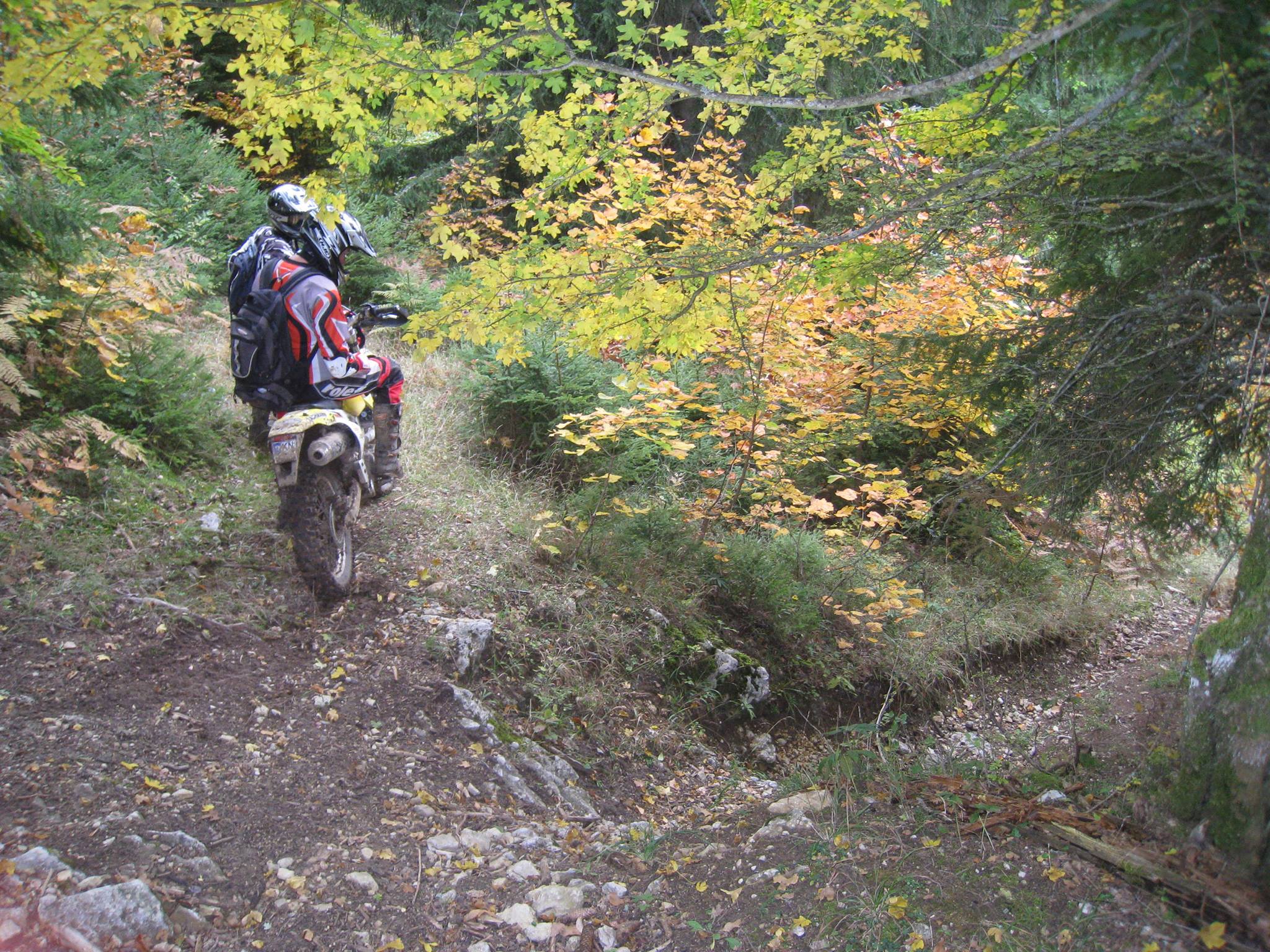 1401183 561199363929628 1808828331 o