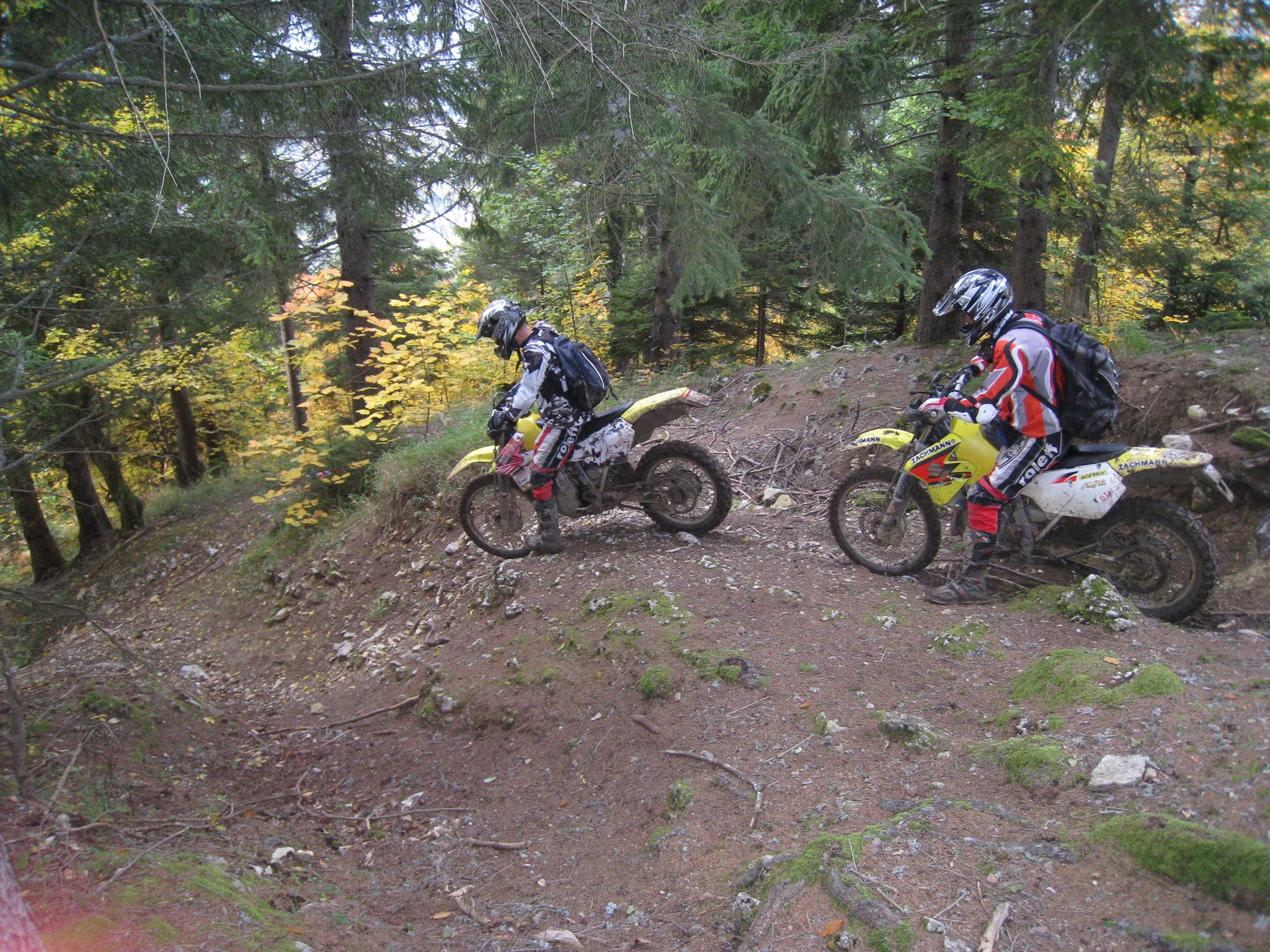 1401183 561199370596294 1410647197 o