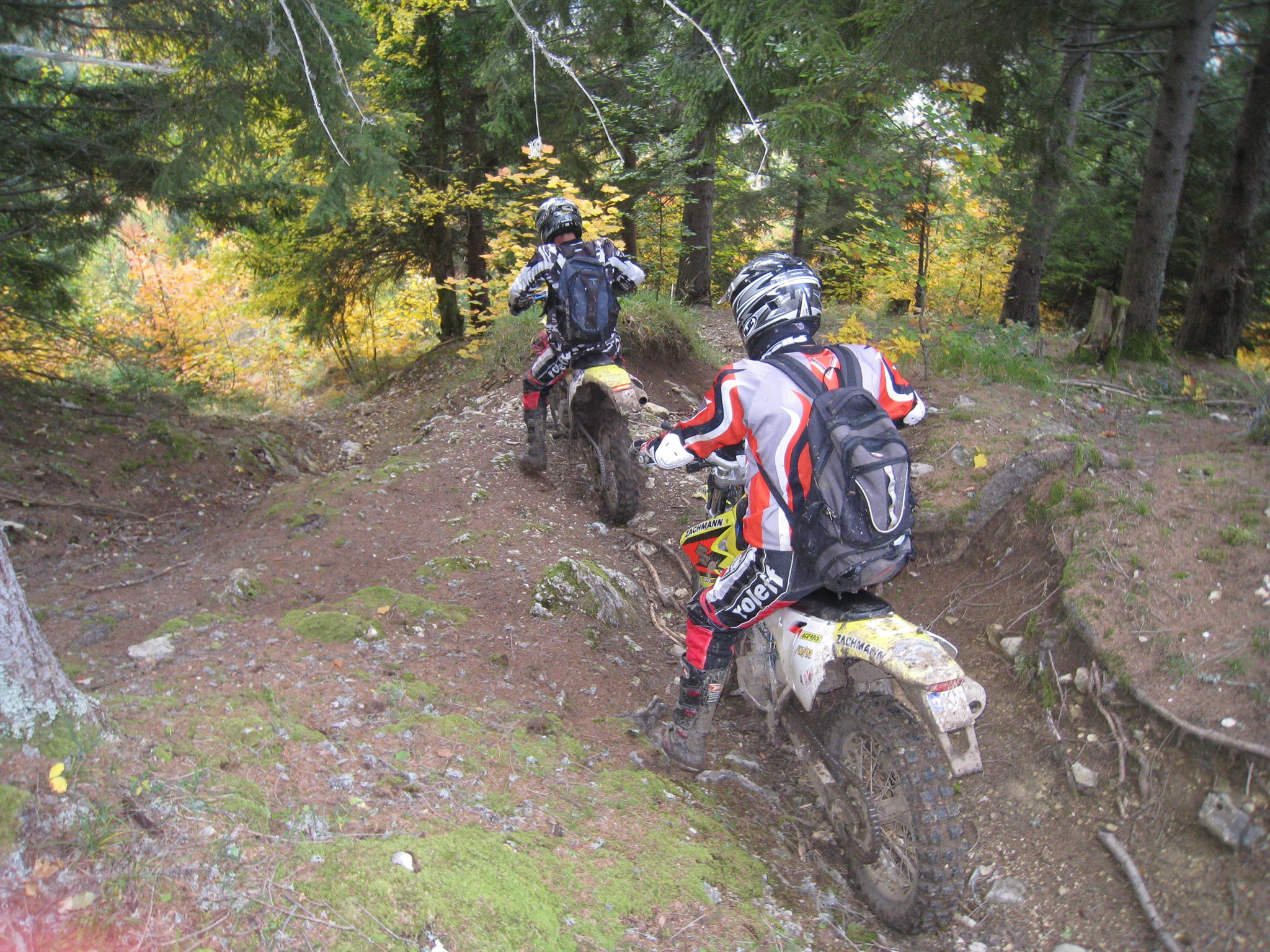 1401183 561199373929627 2142922116 o