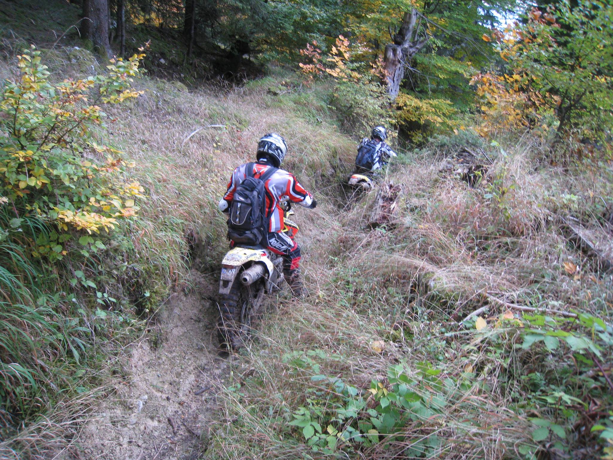 1401183 561199377262960 1528881072 o