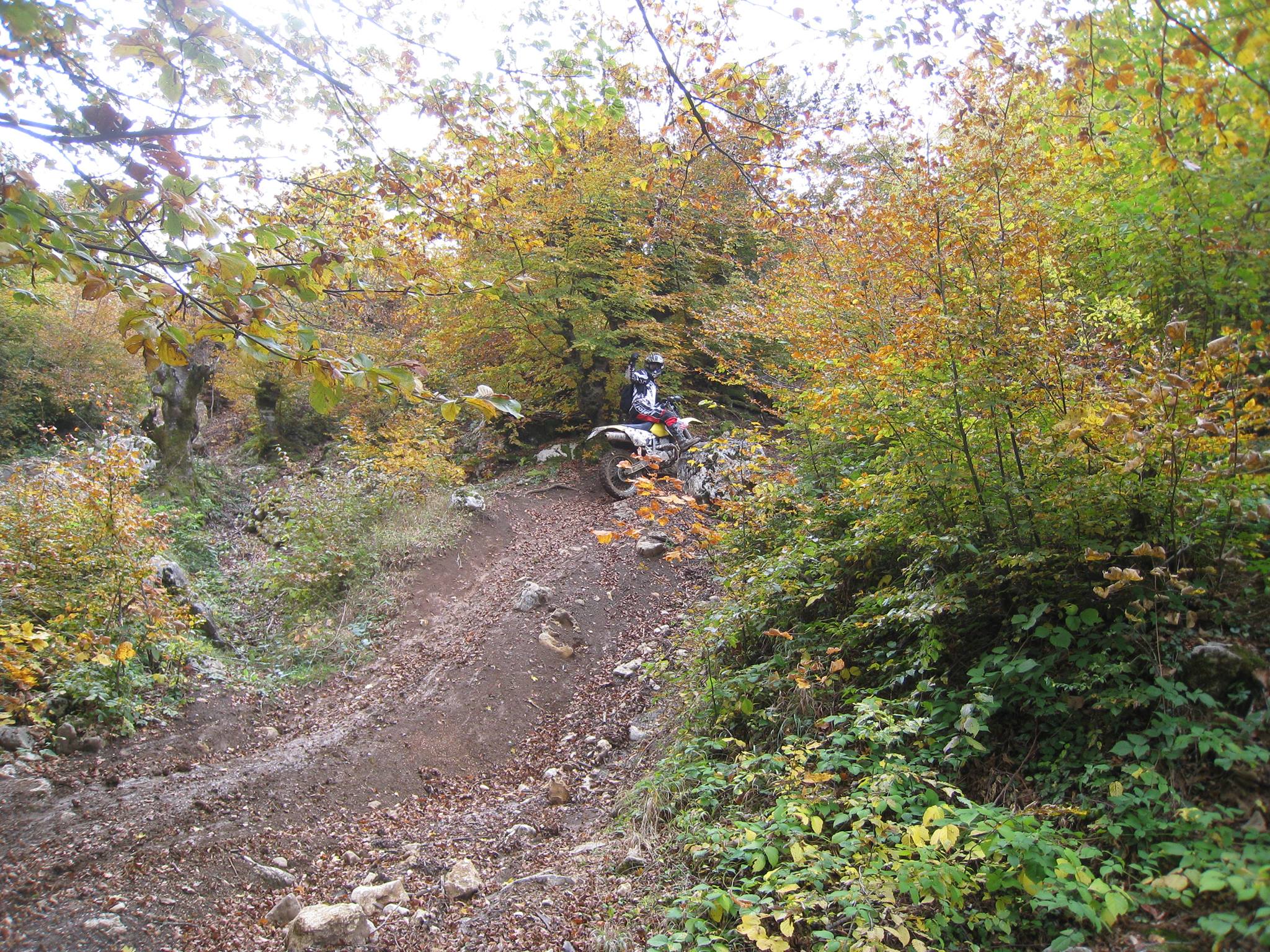 1402021 561190110597220 1760562058 o