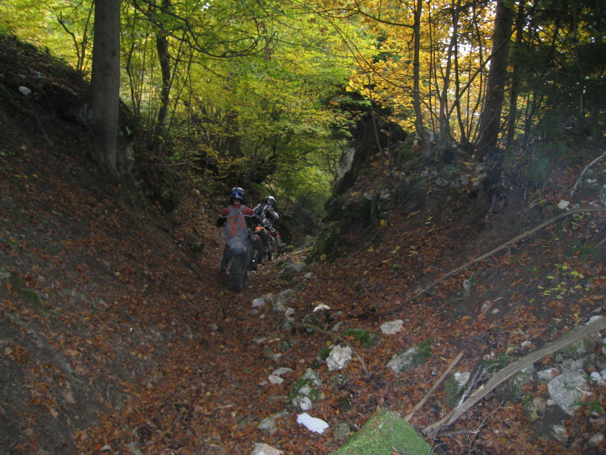 1402021 561190117263886 1053659517 o