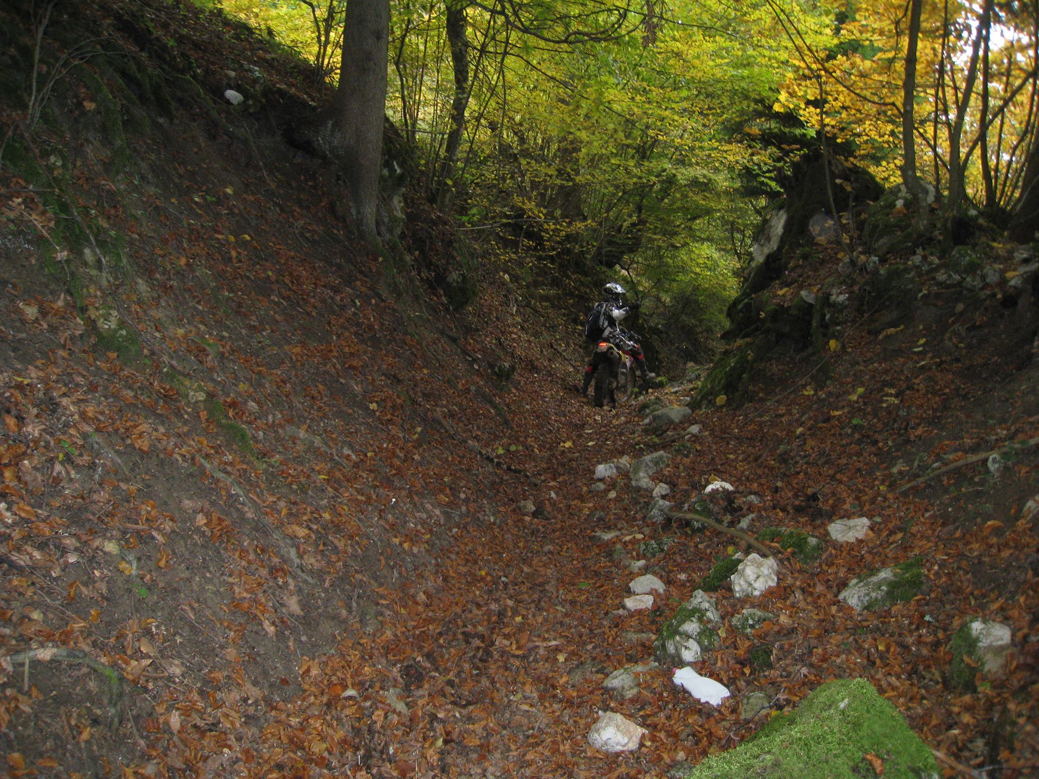 1402021 561190120597219 1649618855 o