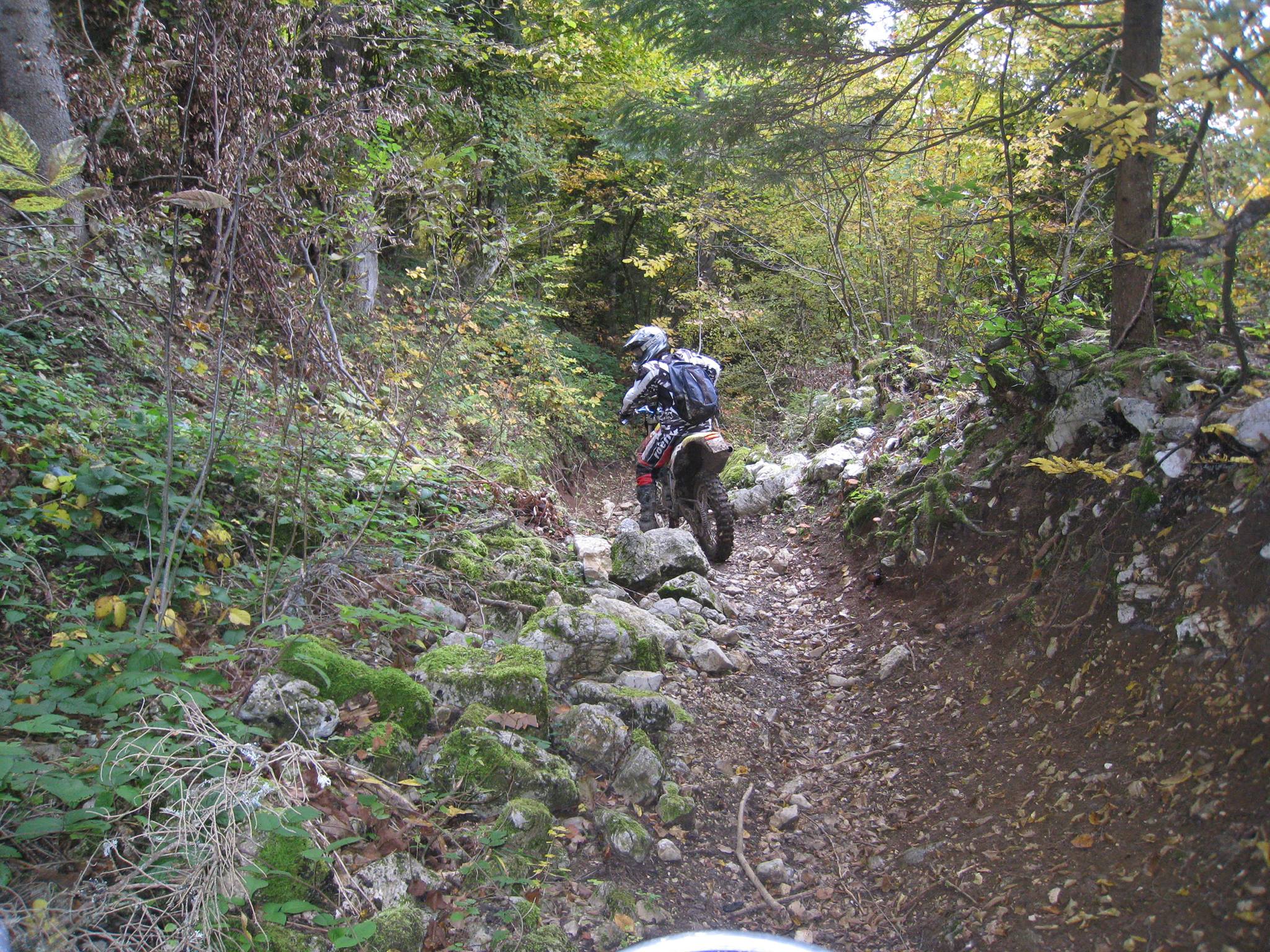 1402021 561190127263885 1550370055 o