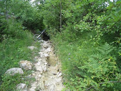 541904 561256187257279 1561850812 n