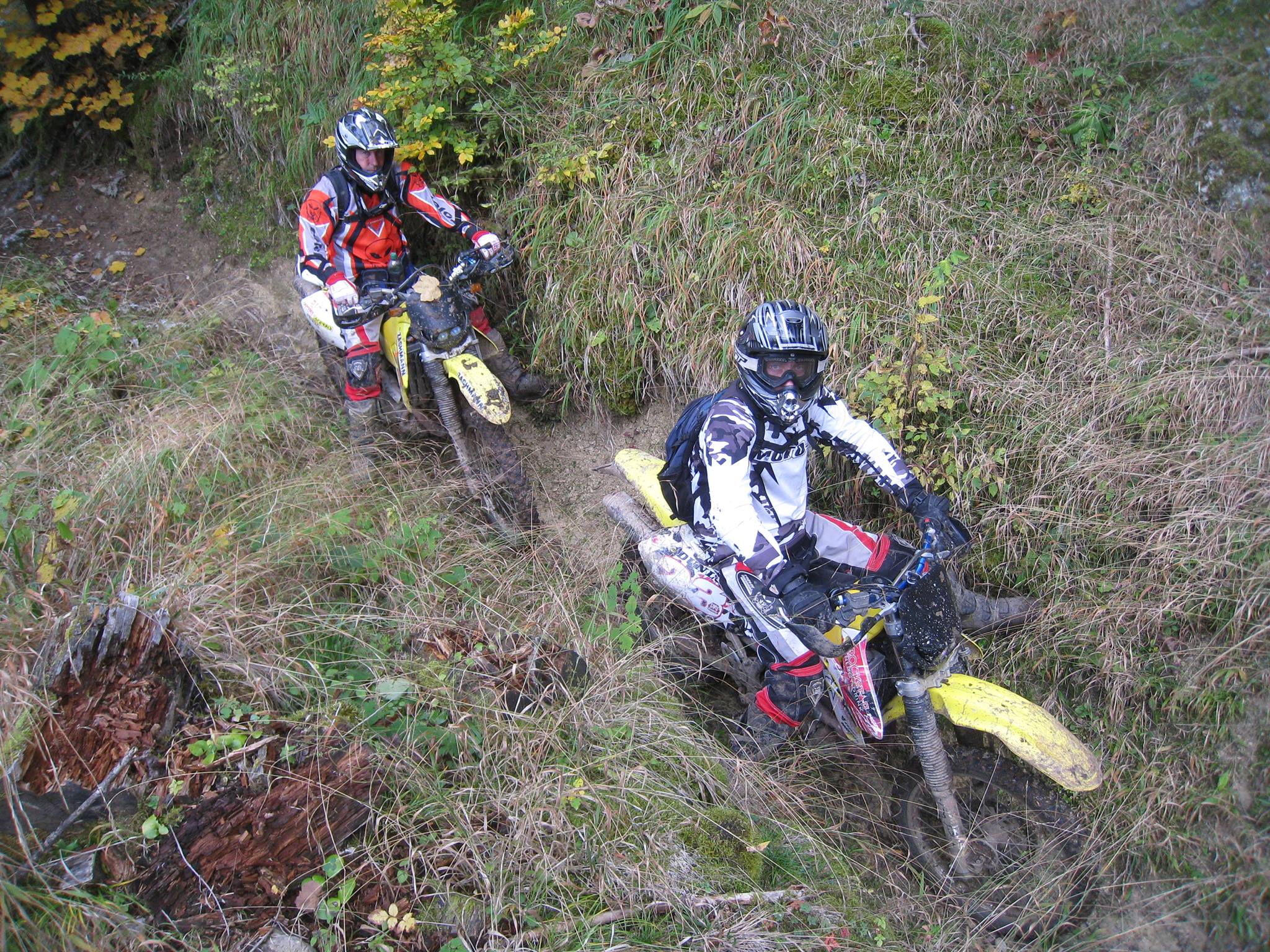 857395 561201987262699 689691299 o