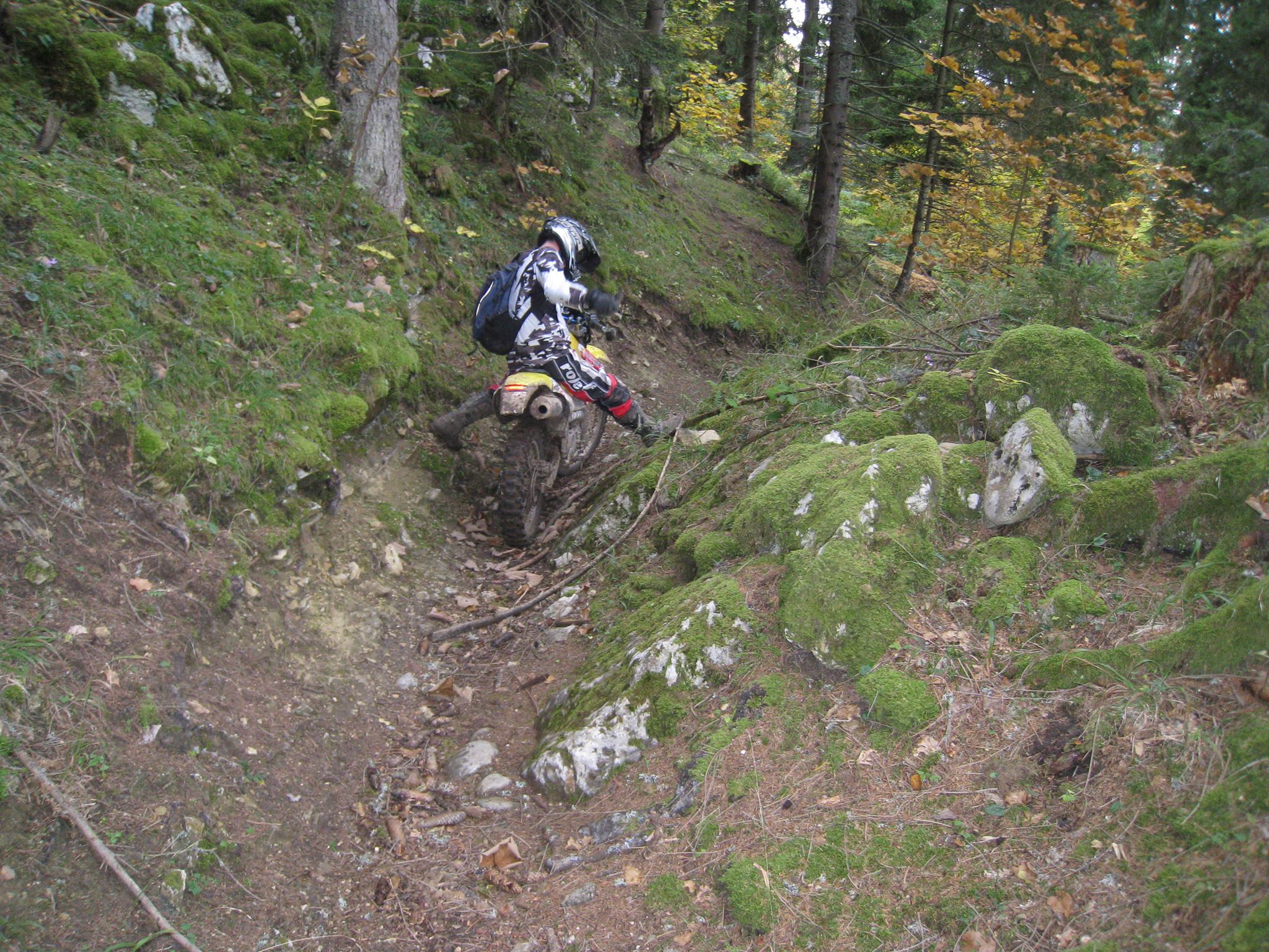 857395 561201990596032 1255084759 o