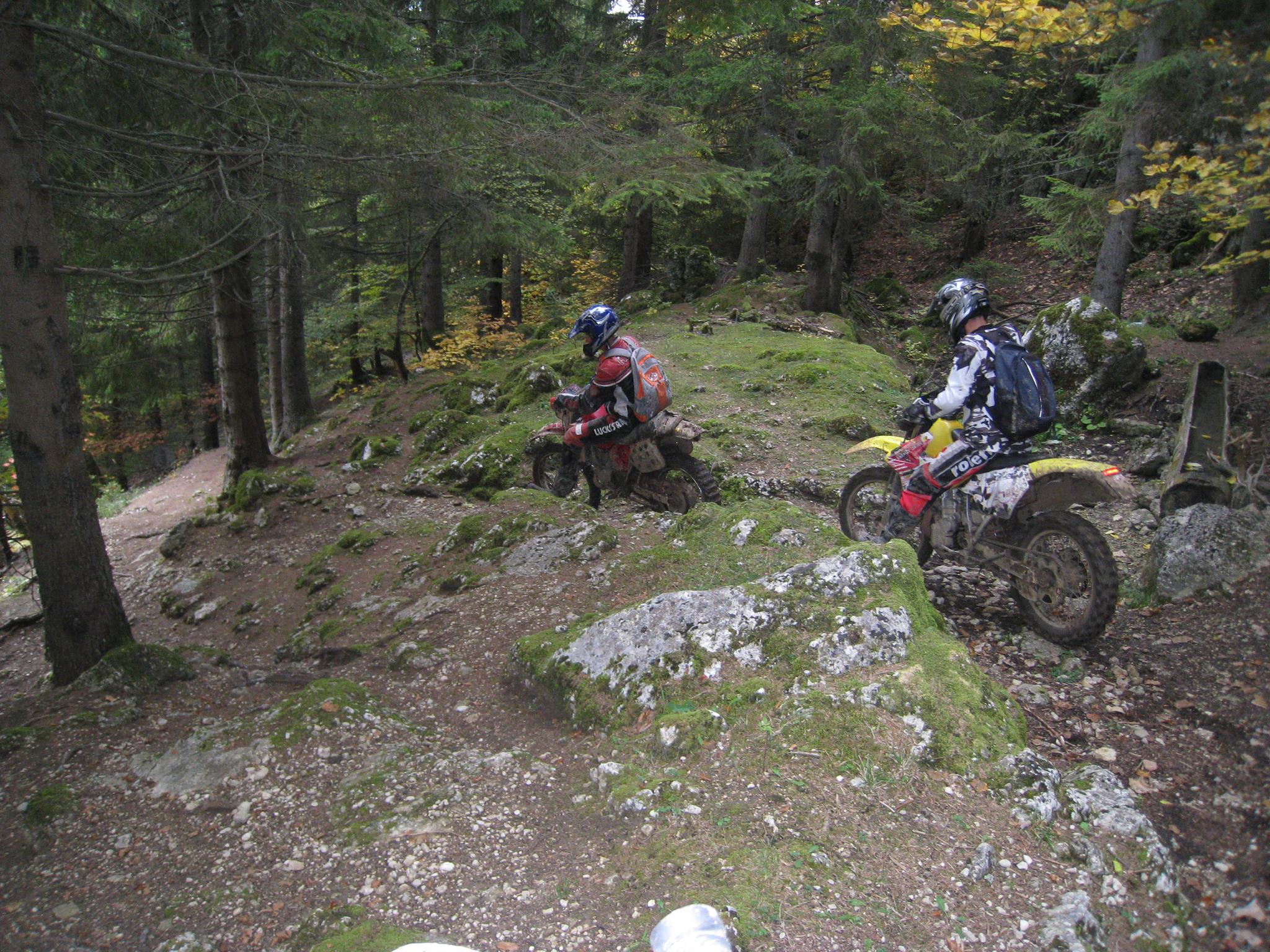 857395 561202000596031 263289949 o