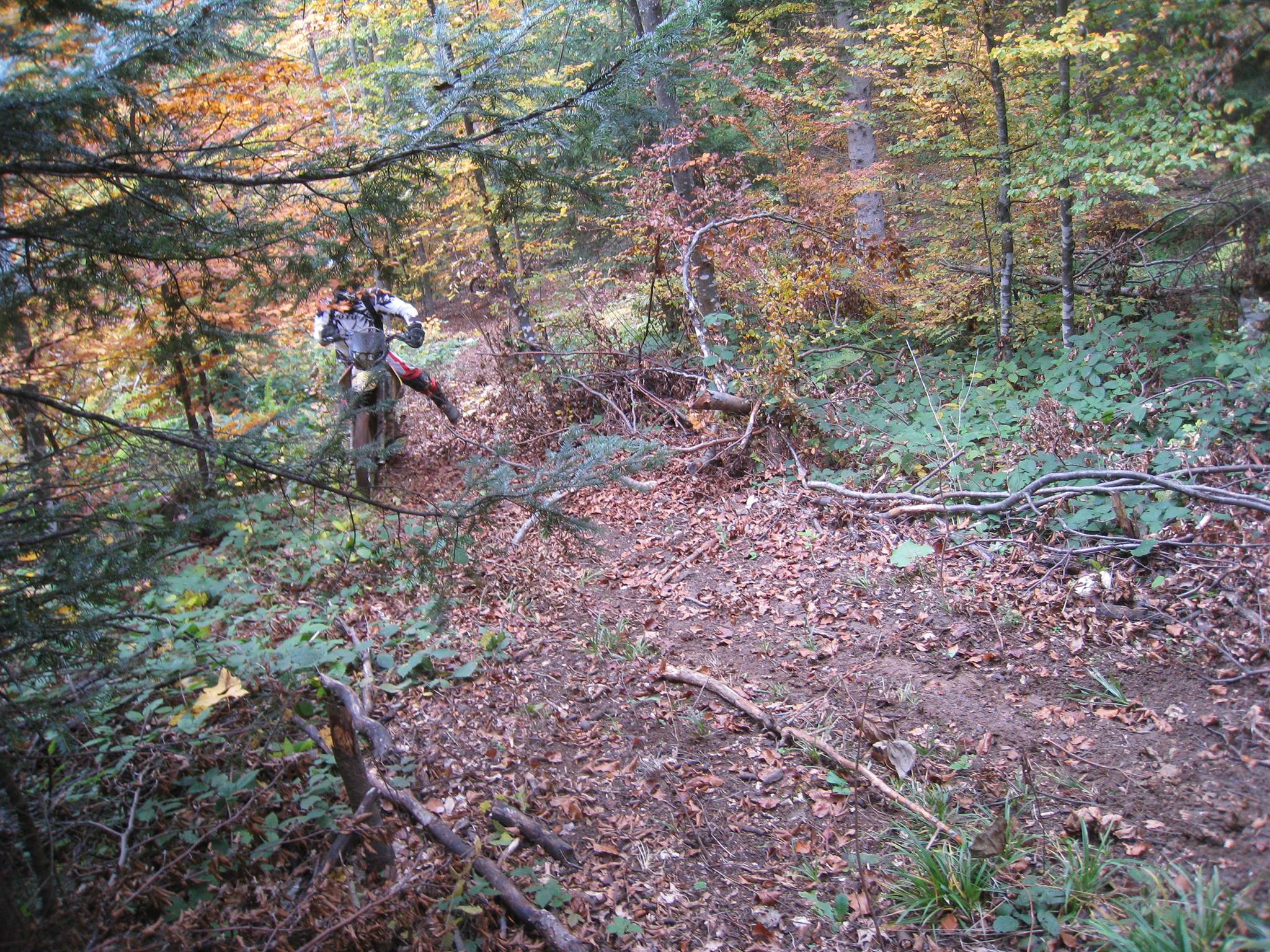 857395 561202003929364 2139643246 o