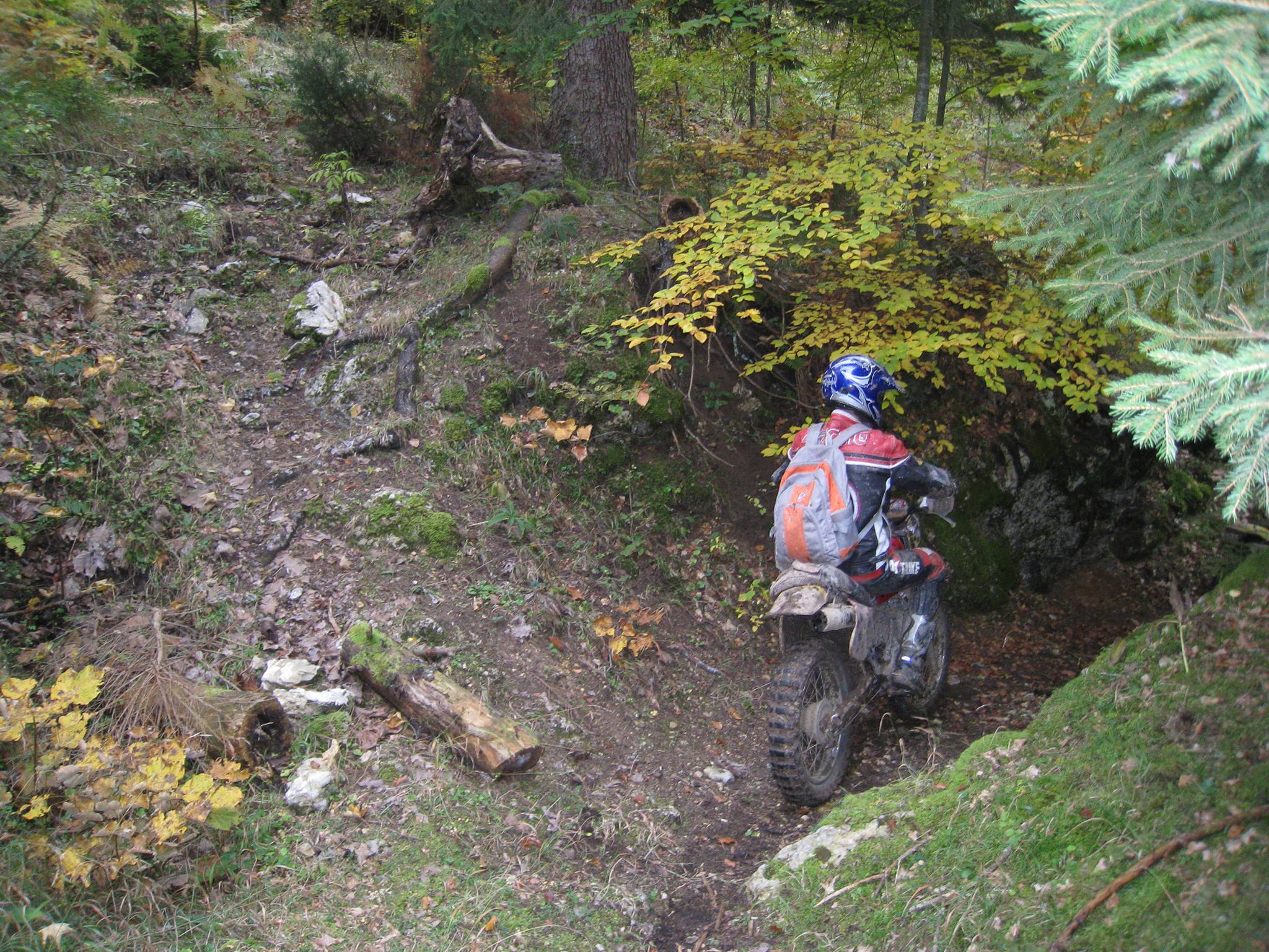 884306 561192437263654 203361343 o