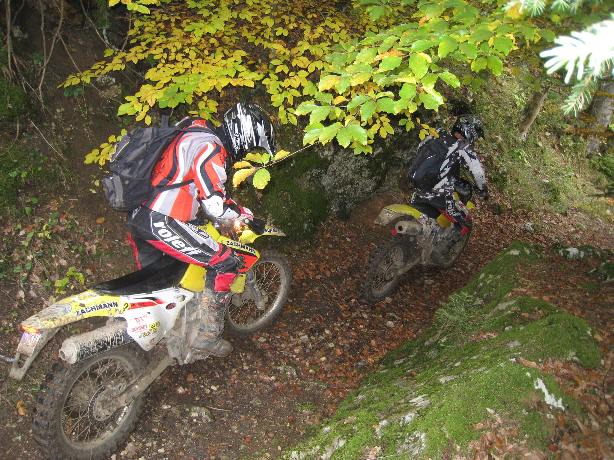 884306 561192440596987 390325139 o