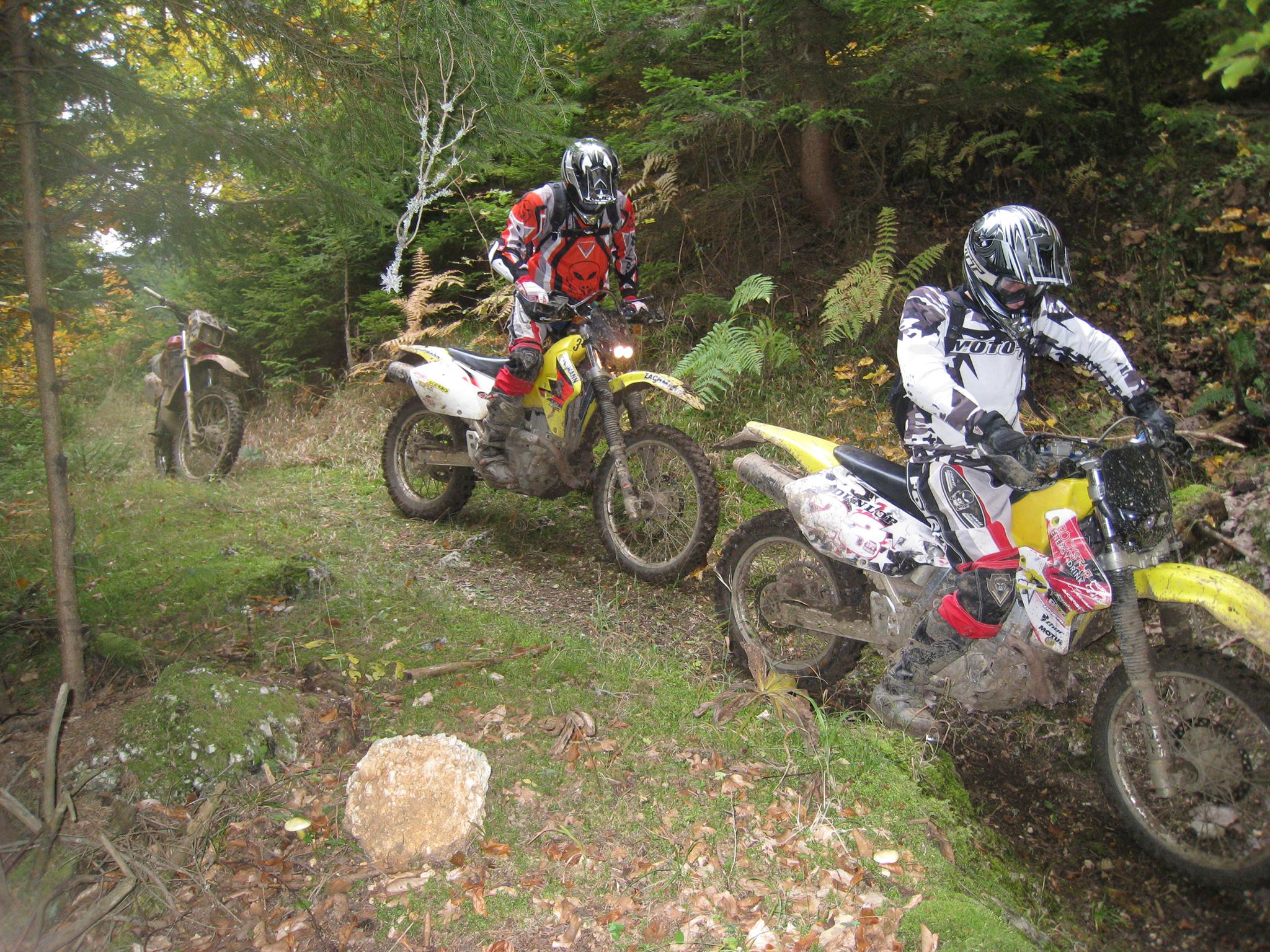 884306 561192447263653 981853919 o