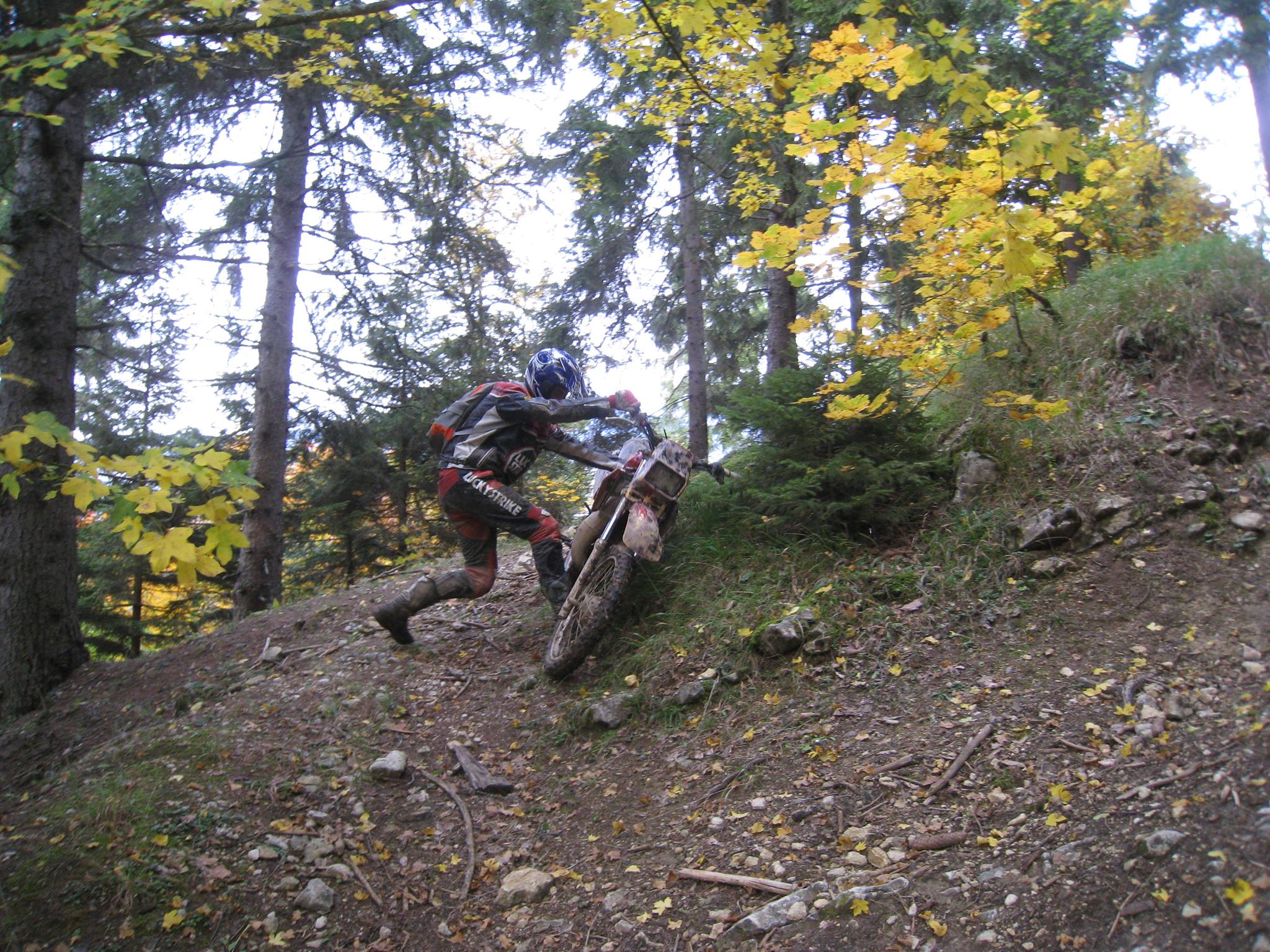 884306 561192450596986 1901671472 o