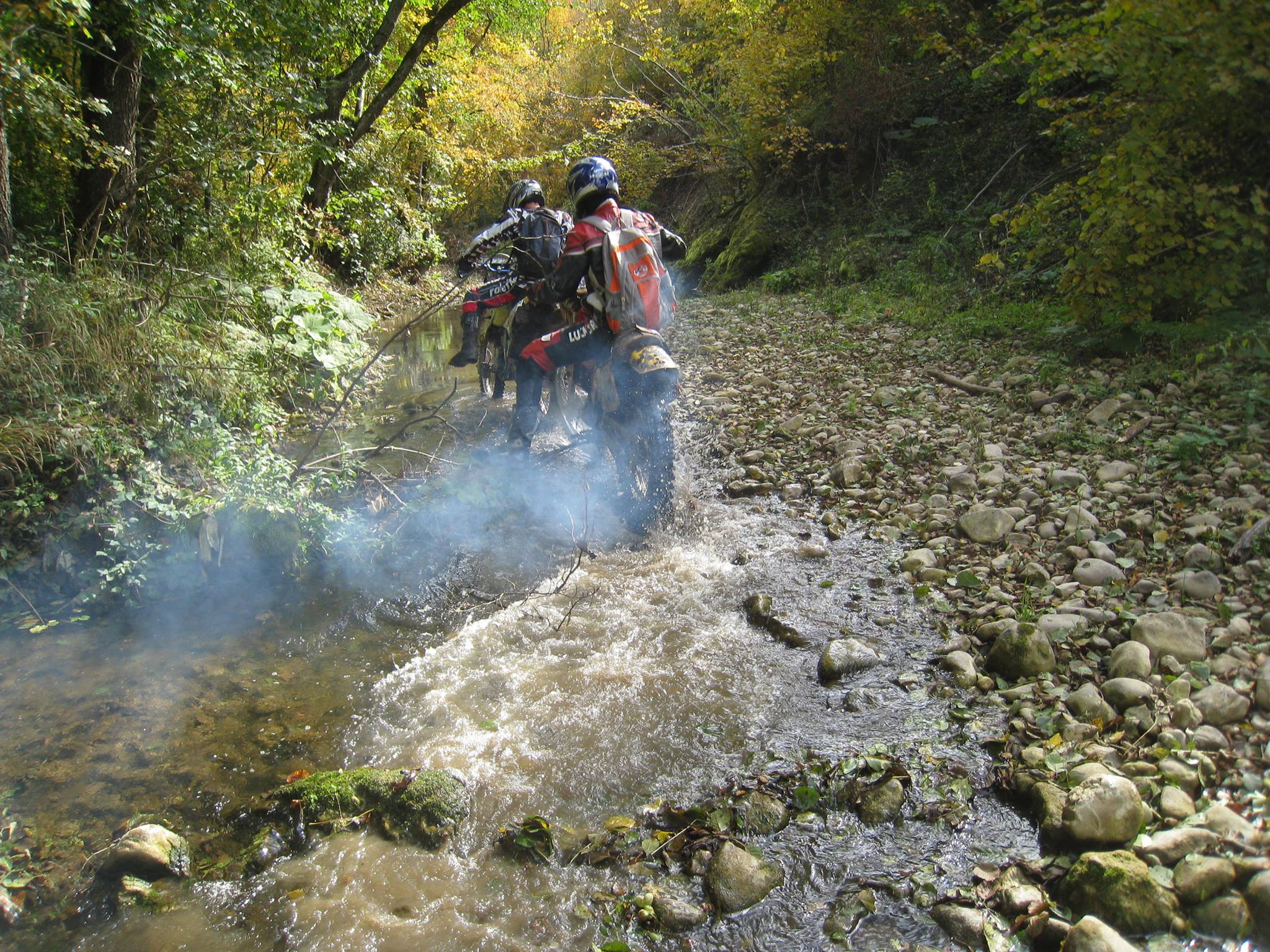 919437 561256183923946 1836769972 o