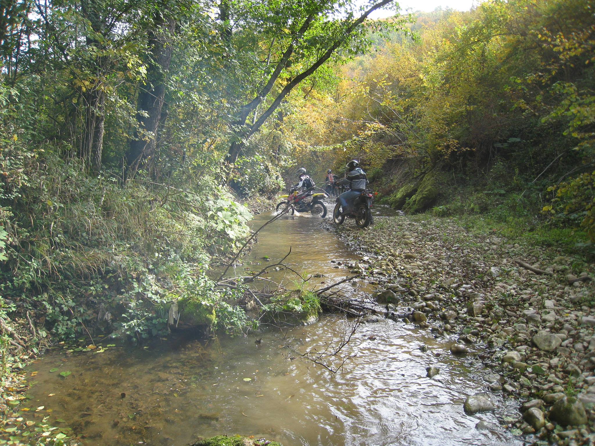 964873 561241840592047 165690530 o